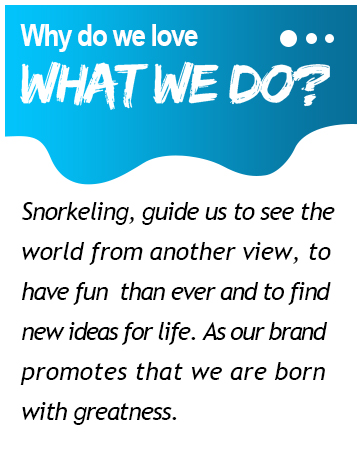 snorkel mask for adults snorkel mask set